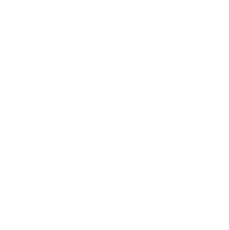 Languages icon